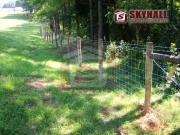 farm wire fence.jpg
