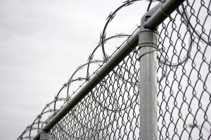 Razor wire fence (Welded Mesh Fence)