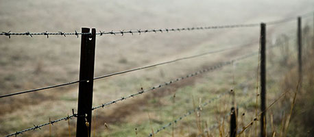 Barb Wire Wide Desktop Background