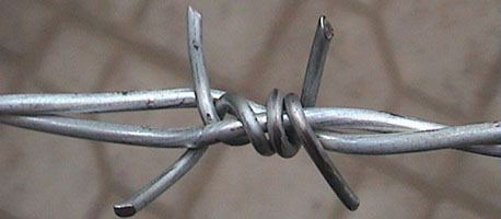 barbed wire points