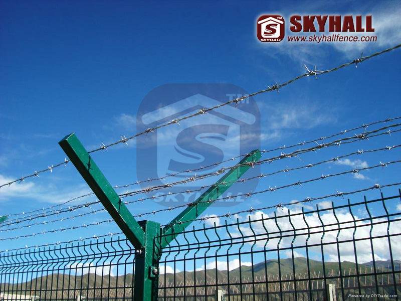 galvanized barbed wire