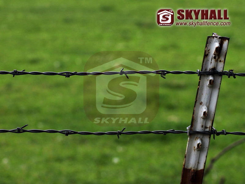 barbed wire fences