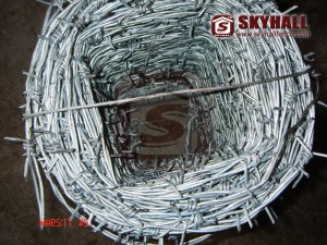 double strand barbed wire (Double Strand Barbed Wire From Skyhall Fence)