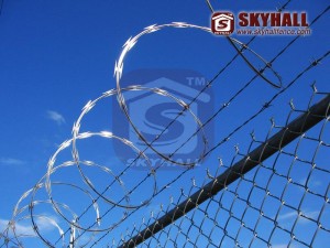 Galvanized Concertina Razor Wire Manufacturer (Galvanized Concertina Razor Wire Manufacturer)
